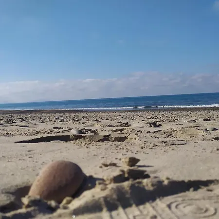 Hébergement de vacances Con Giardino Sul Lungomare *