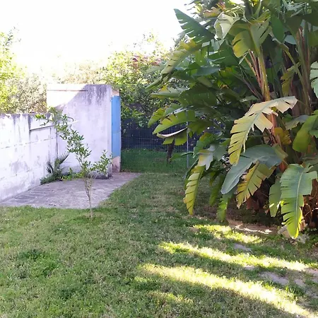 Con Giardino Sul Lungomare Hébergement de vacances Campofelice Di Roccella